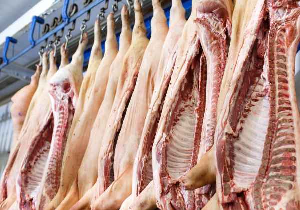 Alimentos